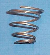 Retaining Spring Picture